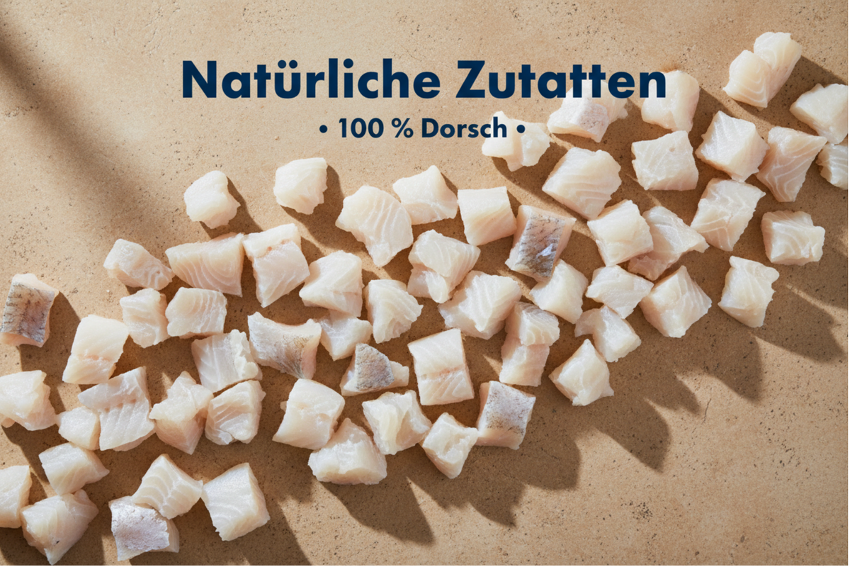 Gesunde Hundesnacks: Worauf du beim Kauf wirklich achten solltest