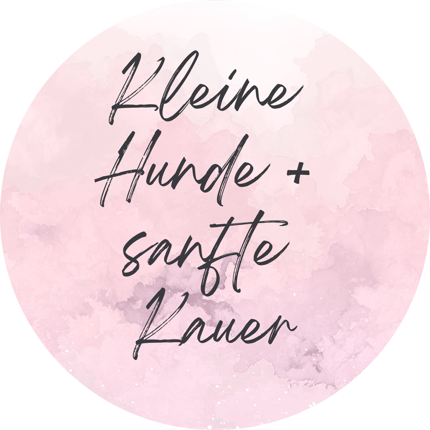 Kleine Hunde & sanfte Kauer