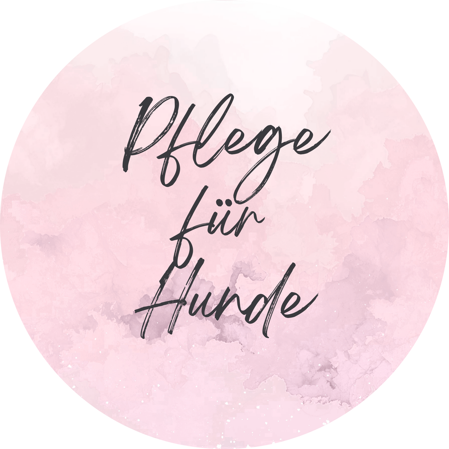 Pflege für Hunde