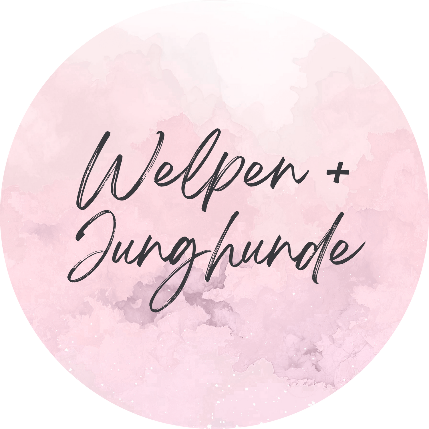 Welpen & Junghunde