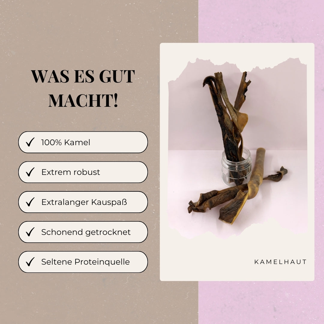 Kamelhaut 40 cm