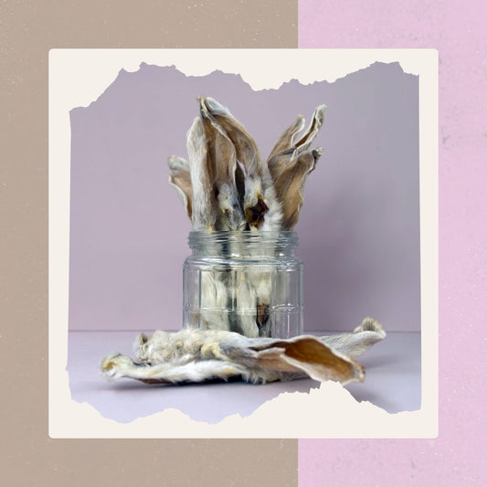 Kaninchenohren mit Fell