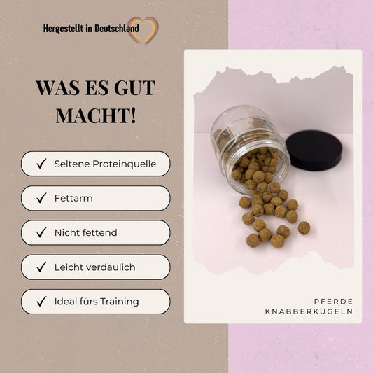Pferde Knabberkugeln