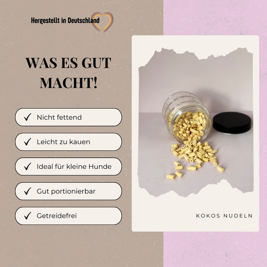 Kokos Nudeln
