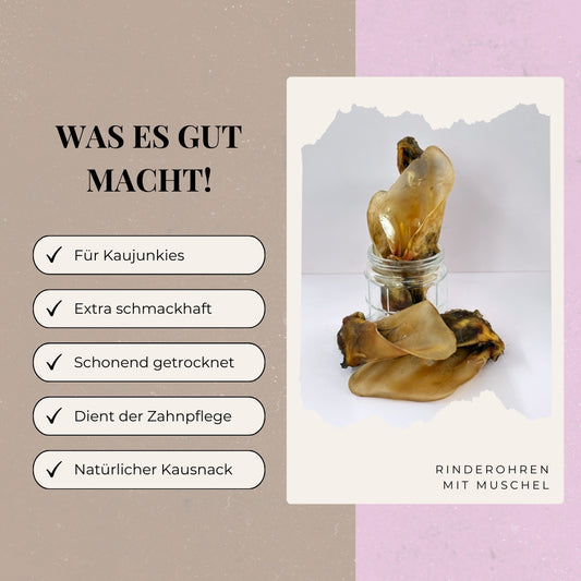 Rinderohren mit Muschel XL