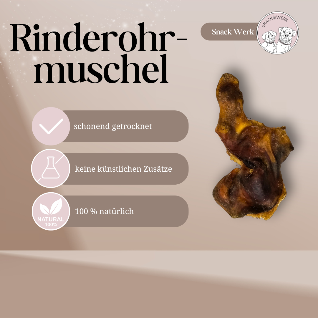 Rinderohrmuschel