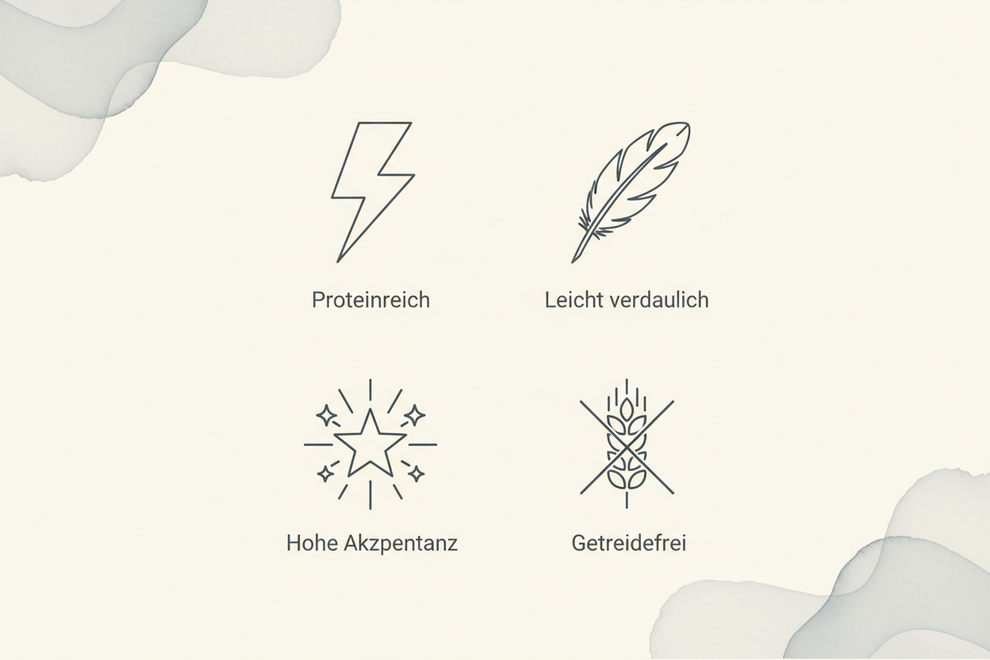 Icon-Grid Lammfleisch
