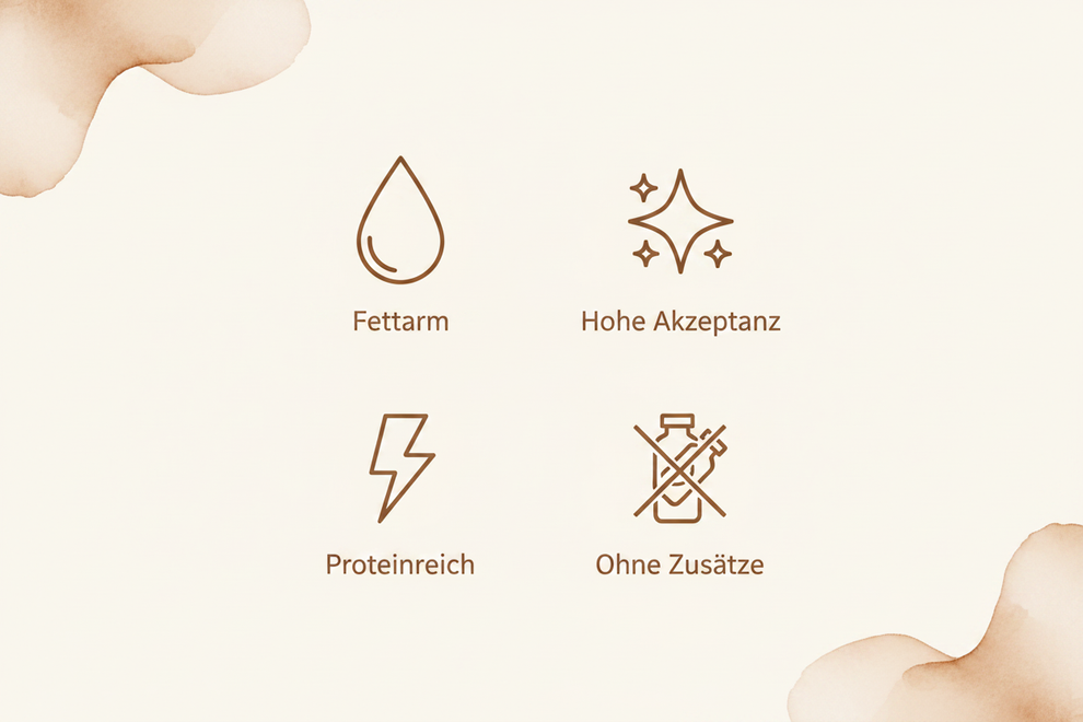 Icon-Grid Pansen Kaurolle