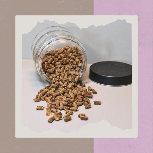 Pferdefleisch Minis 200g