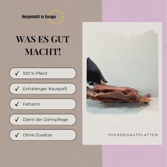 Pferdehautplatten