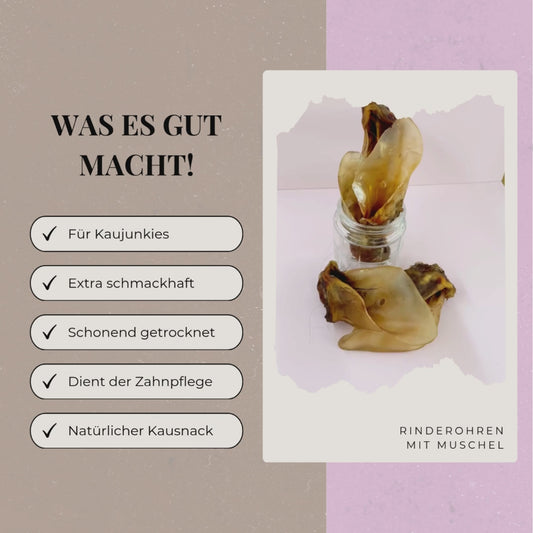 Rinderohren mit Muschel XL
