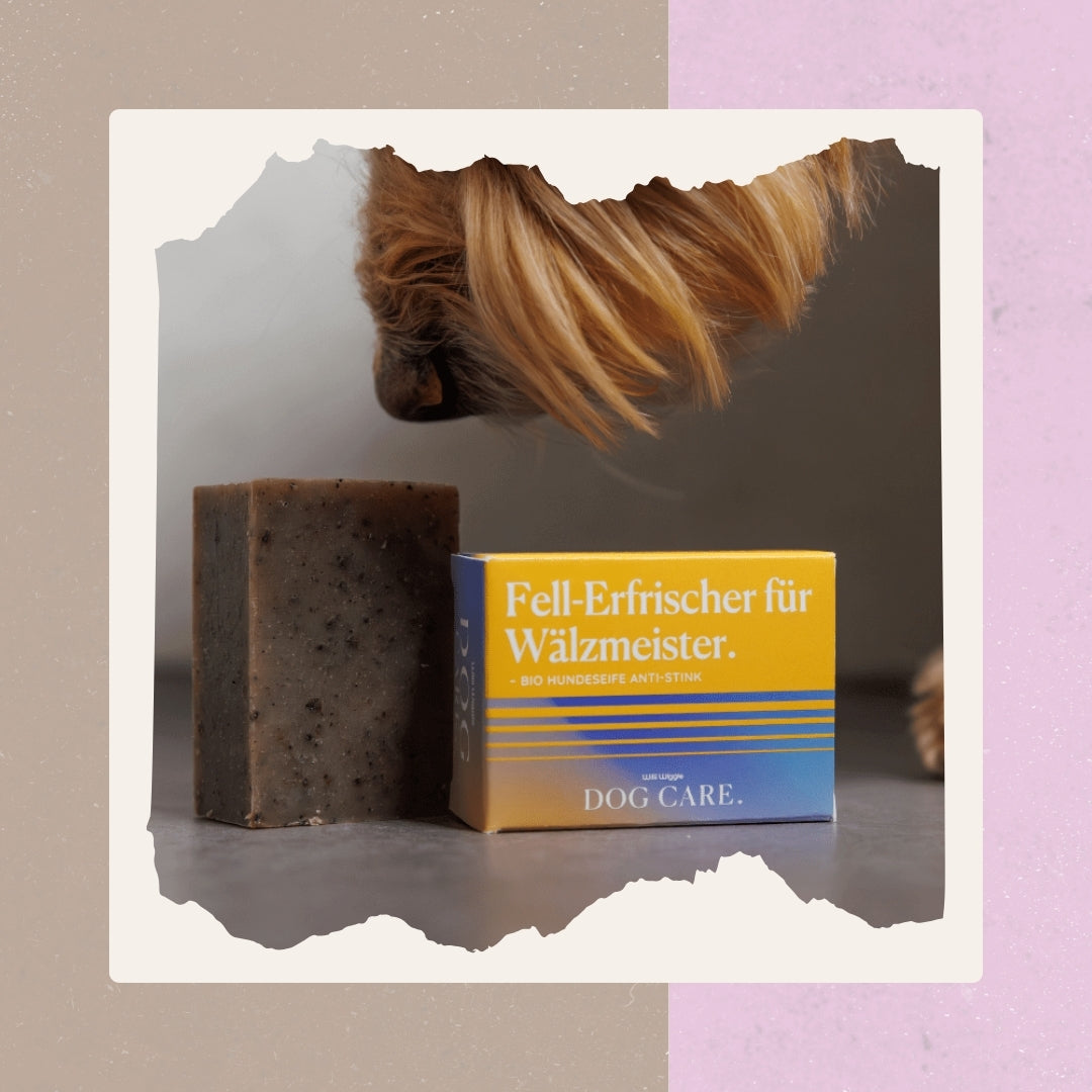 Festes Hundeshampoo – Bio Hundeseife Anti-Stink