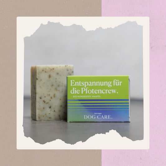 Festes Hundeshampoo – Bio Hundeseife Hanföl