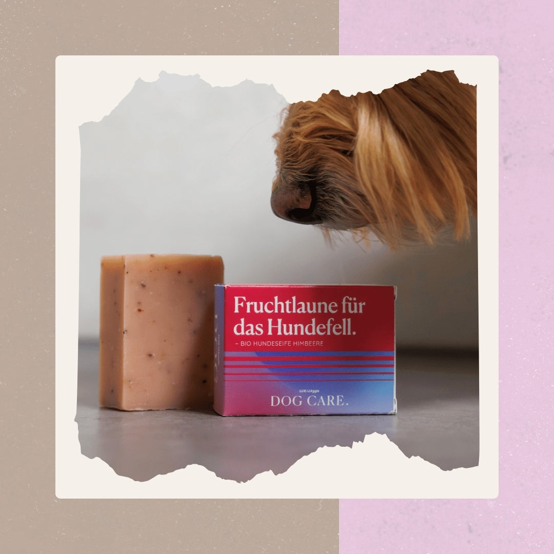 Festes Hundeshampoo – Bio Hundeseife Himbeere
