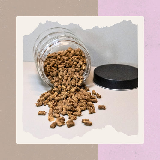 Pferdefleisch Minis 200 g