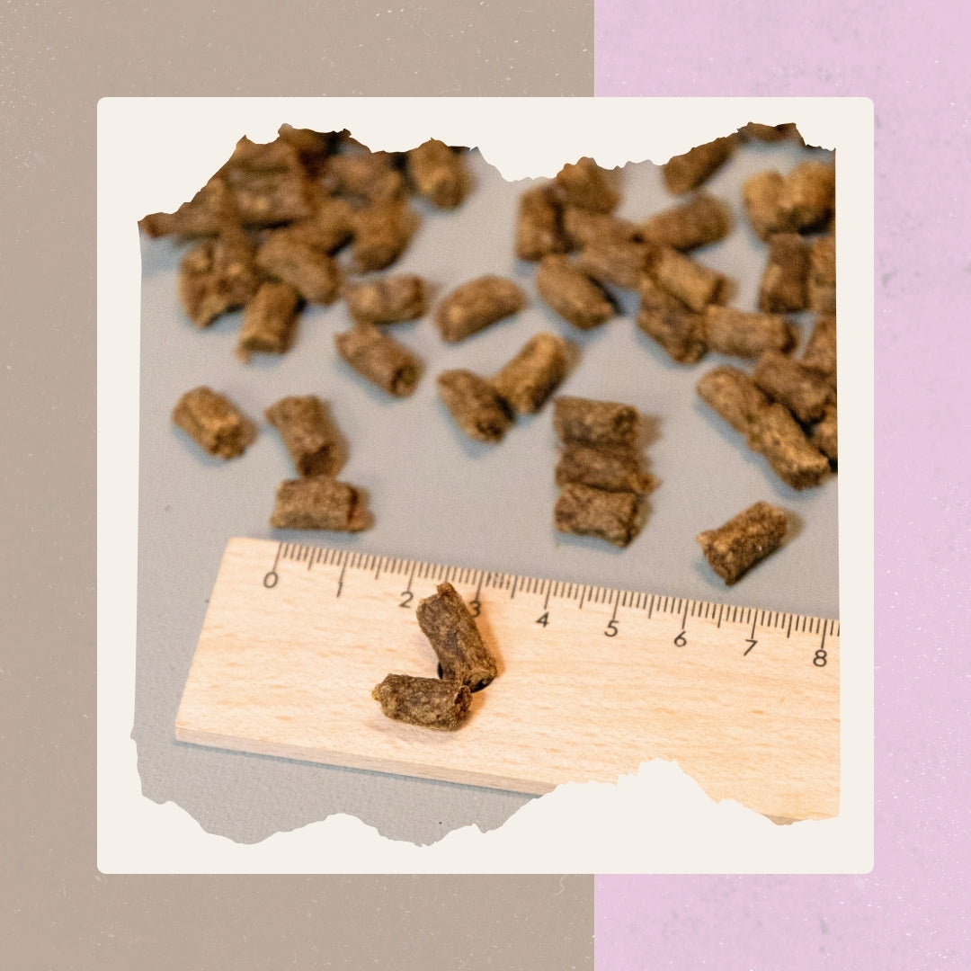 Pferdefleisch Minis 200 g