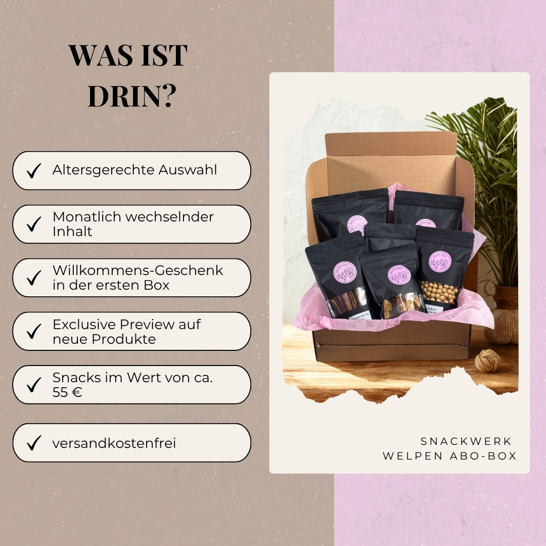 Welpen Box