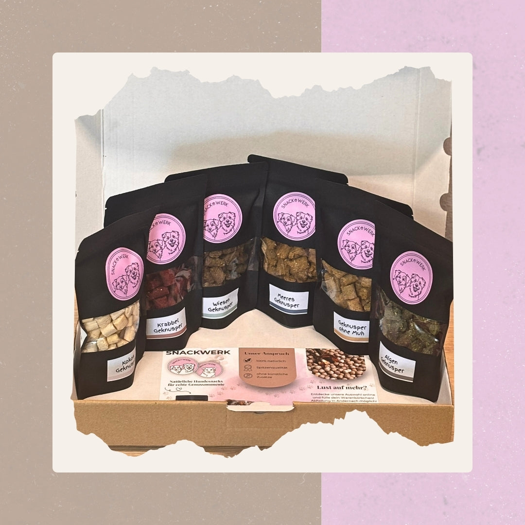 Geknusper Kennenlernpaket