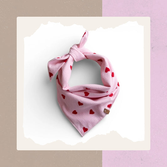 Lieblingspfote - Halstuch "Always Lovely"