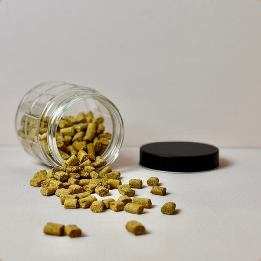 Geknusper ohne Muh – vegane Knuspersnacks für Hunde im Glas