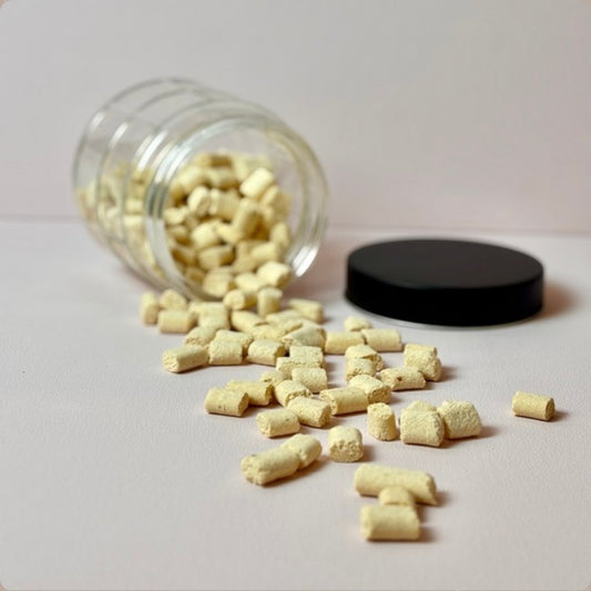 Kokos Geknusper – vegane Knuspersnacks für Hunde im Glas